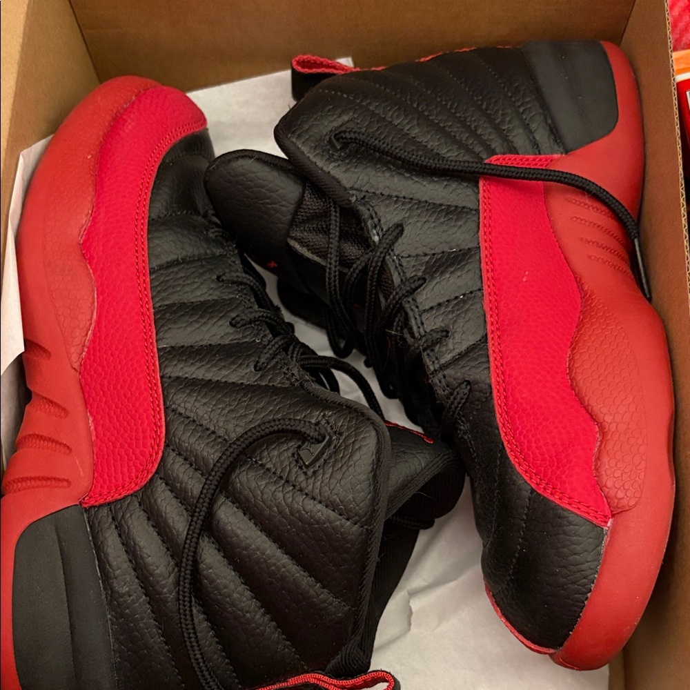 Flu Game Jordan 12s (PS)